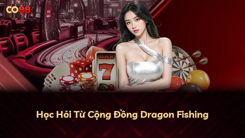 Học Hỏi Từ Cộng Đồng Dragon Fishing