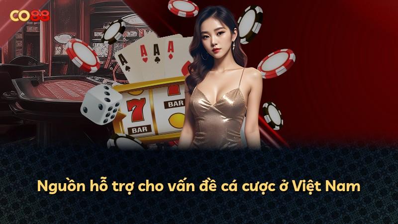 Nguồn hỗ trợ cho vấn đề cá cược ở Việt Nam