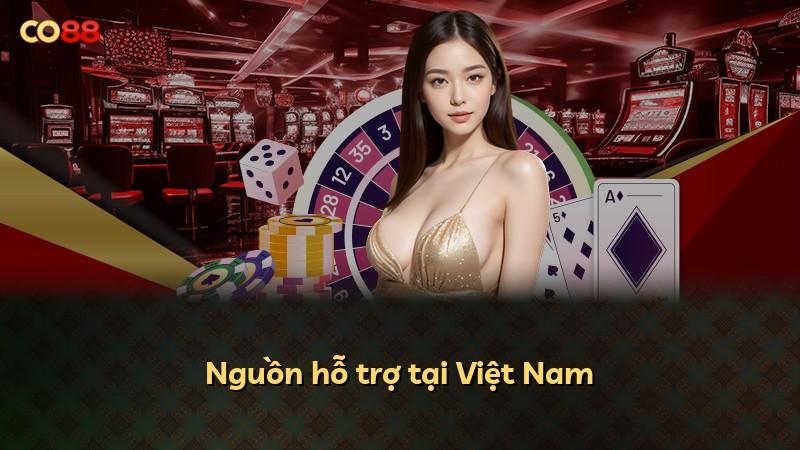 Nguồn hỗ trợ tại Việt Nam