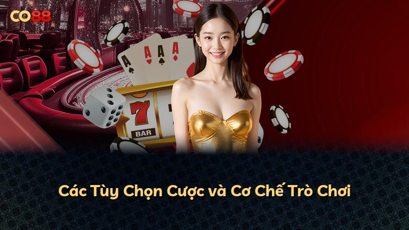 Các Tùy Chọn Cược và Cơ Chế Trò Chơi