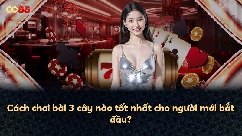 Cách chơi bài 3 cây nào tốt nhất cho người mới bắt đầu?