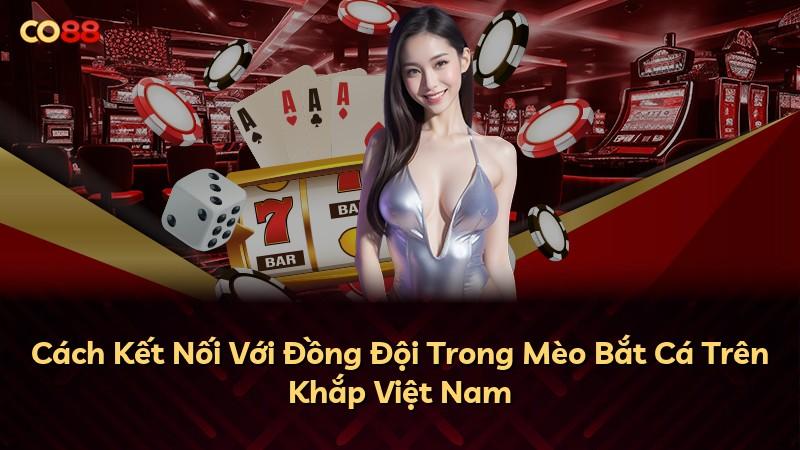 Cách Kết Nối Với Đồng Đội Trong Mèo Bắt Cá Trên Khắp Việt Nam