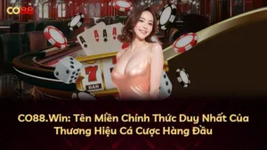 CO88.Win: Tên Miền Chính Thức Duy Nhất Của Thương Hiệu Cá Cược Hàng Đầu