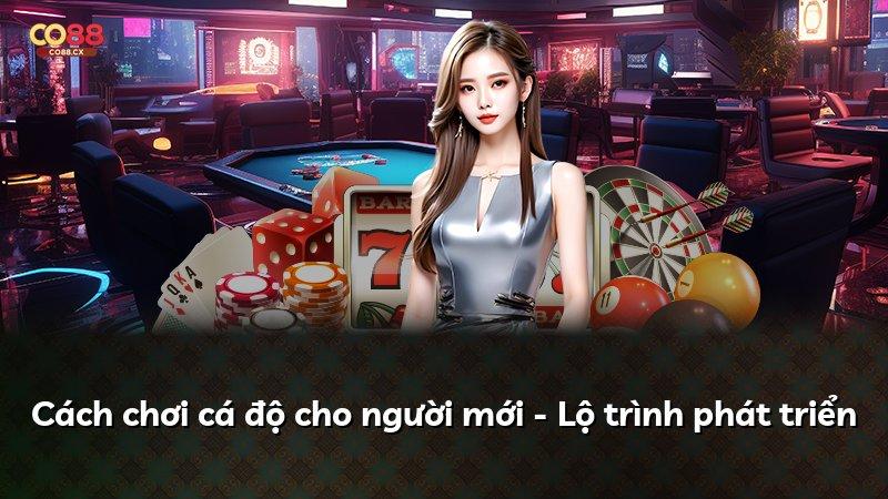 Cách chơi cá độ cho người mới - Lộ trình phát triển