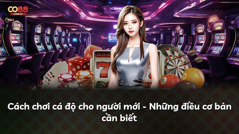 Cách chơi cá độ cho người mới - Những điều cơ bản cần biết