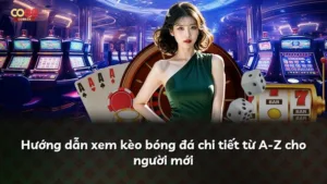 Hướng dẫn xem kèo bóng đá chi tiết từ A-Z cho người mới