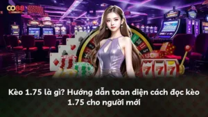 Kèo 1.75 là gì? Hướng dẫn toàn diện cách đọc kèo 1.75 cho người mới