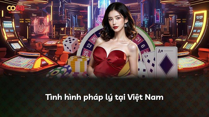Tình hình pháp lý tại Việt Nam